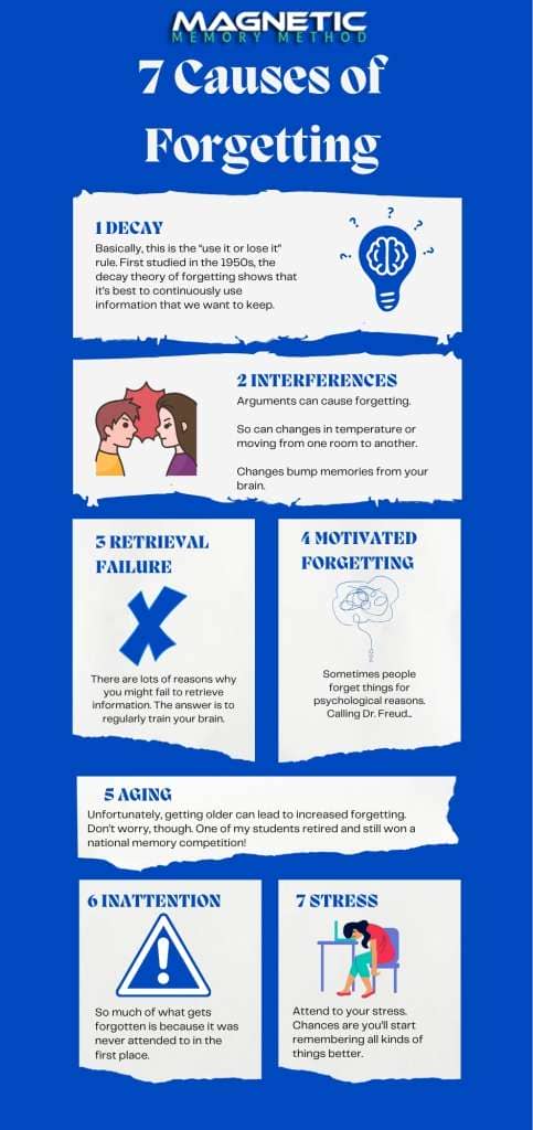 7 Causes of Forgetting infographic by Anthony Metivier