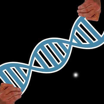 amino acids feature image