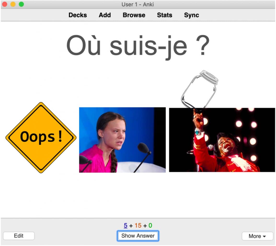 anki for language learning example