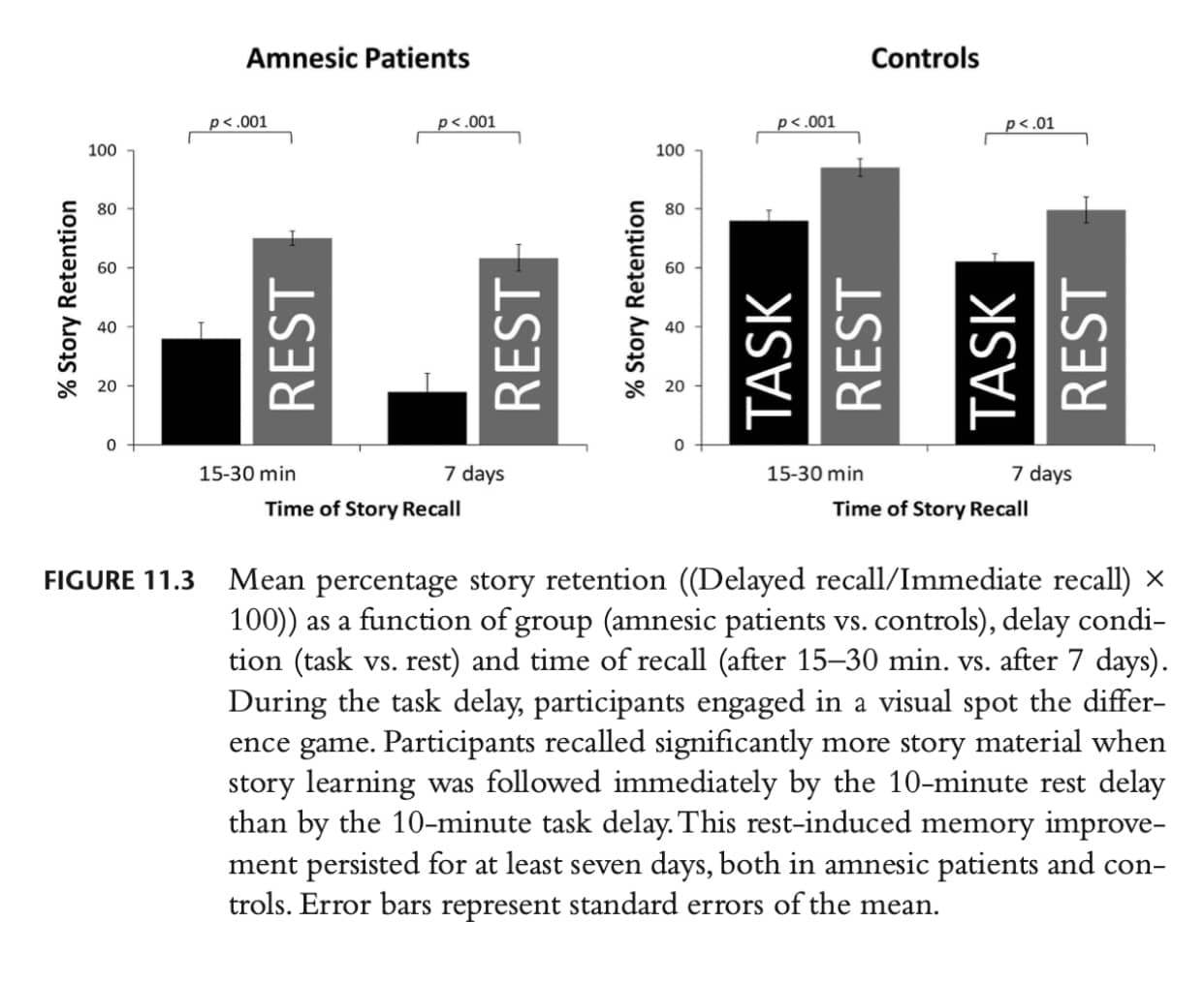 anterograde amnesia research from Dr. Michaela Dewar