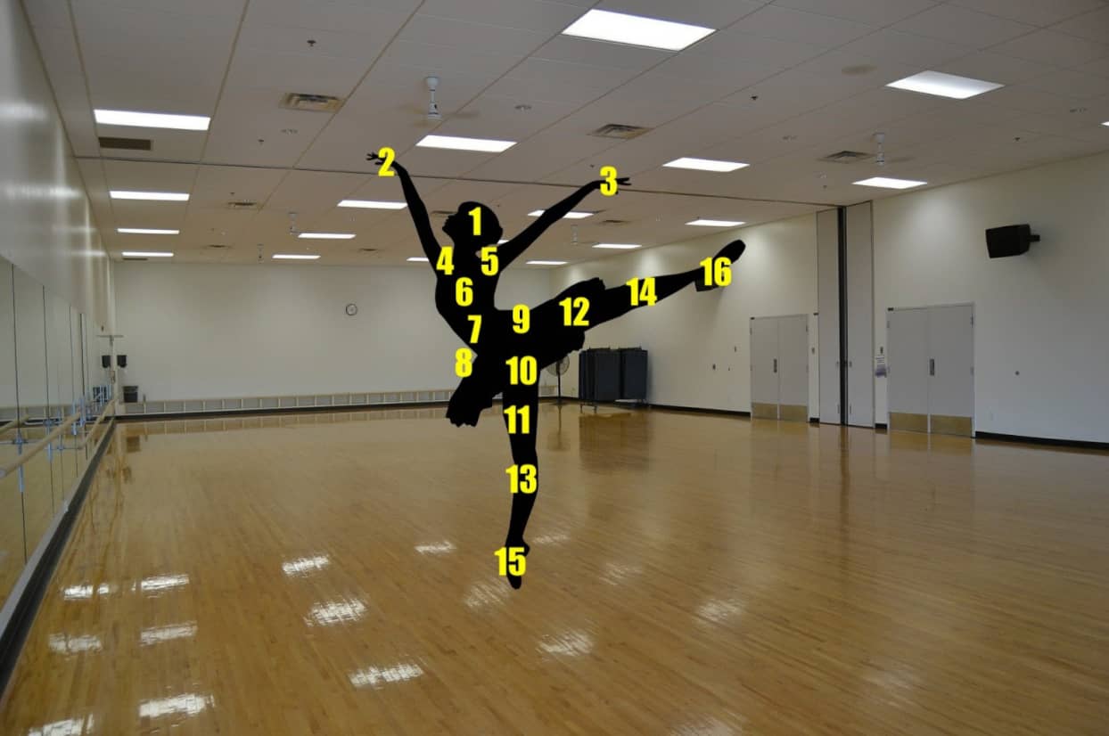 applying the major system to the human body