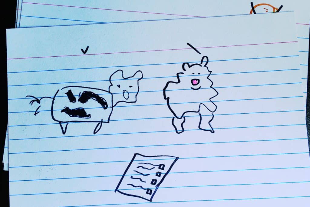 Best way to study flashcards mnemonic example