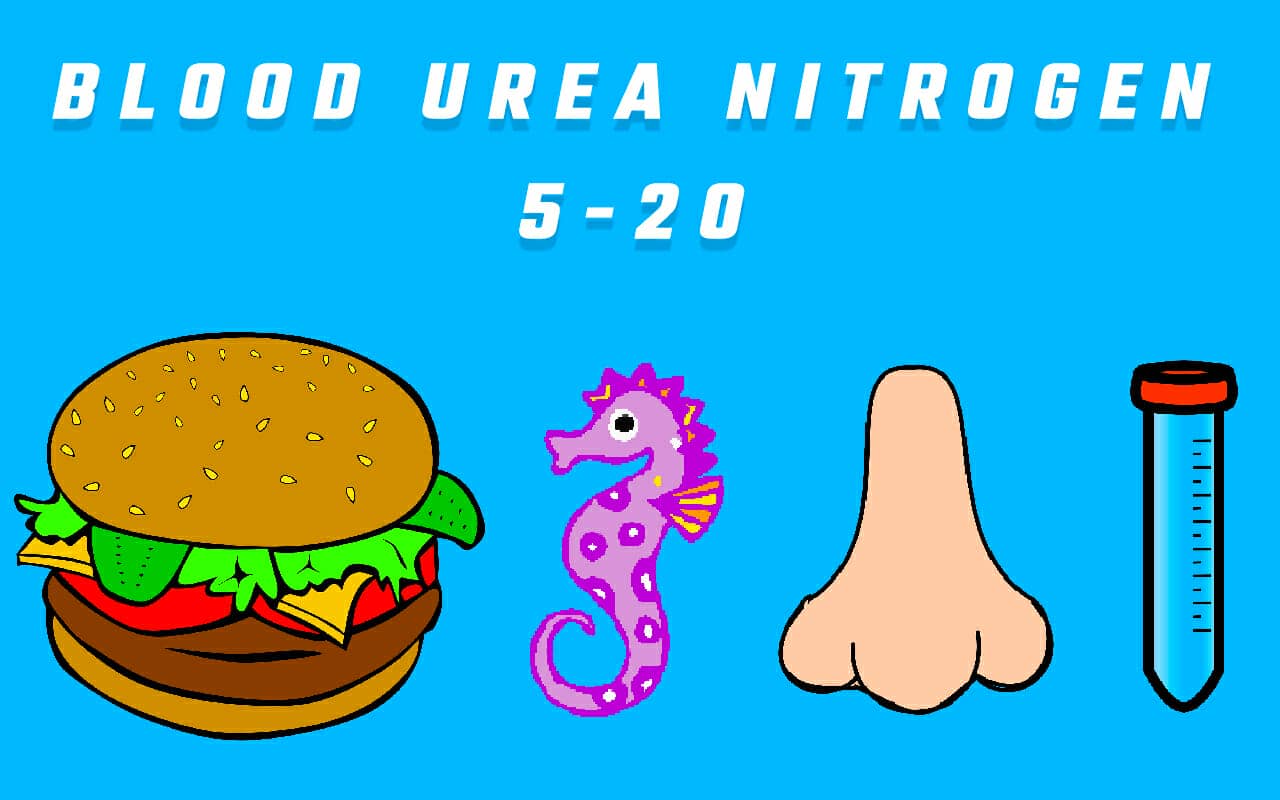 blood urea nitrogen (BUN) lab values mnemonic