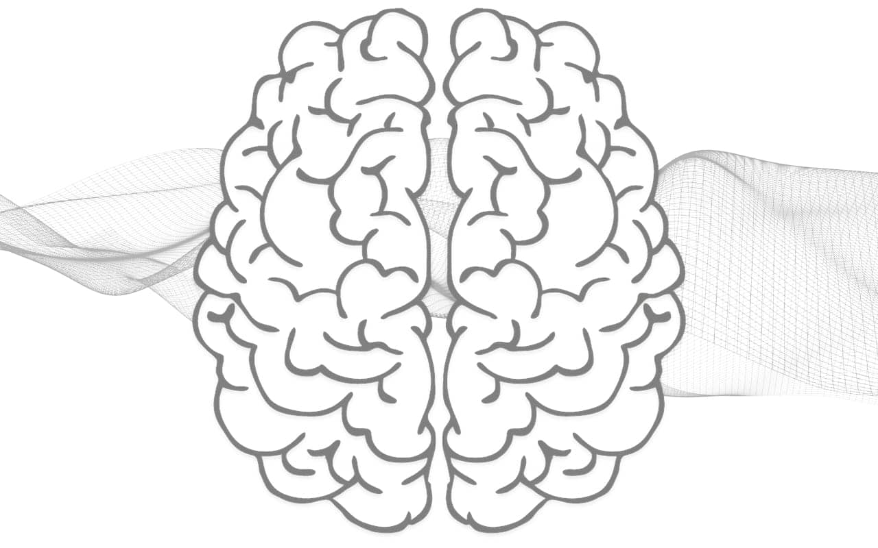 brain network conections