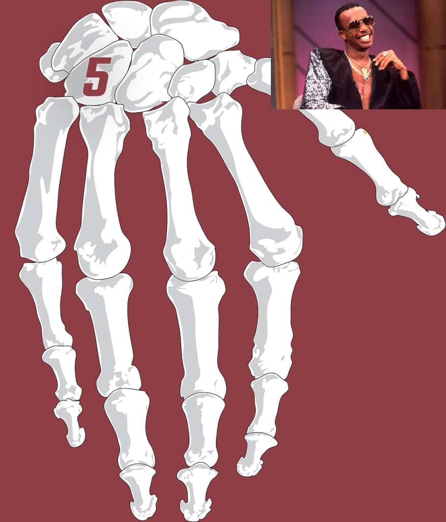 carpal bone mnemonic example for hamate bone