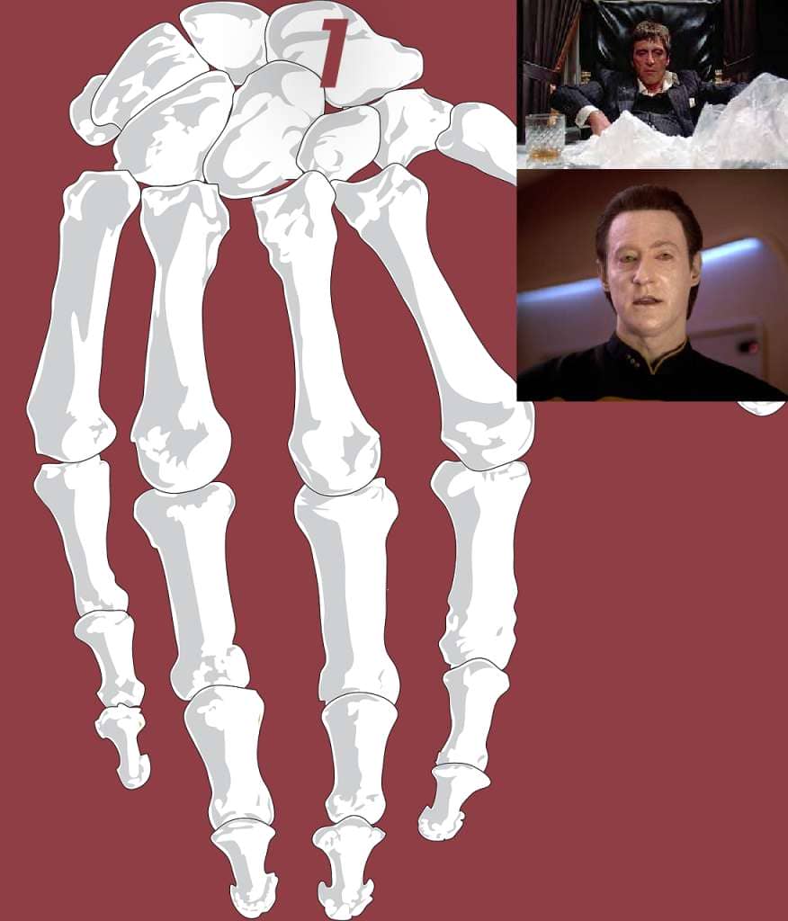 carpal bone mnemonic for the scaphoid bone