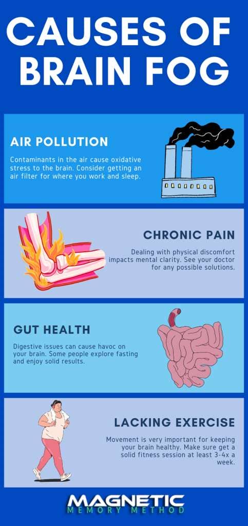 Causes of Brain Fog infographic by Anthony Metivier
