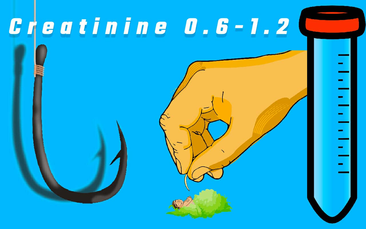 creatinine lab values mnemonic example