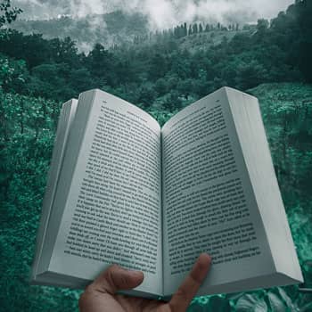 Top 5 Memory Palace Books to Supercharge Your Brain