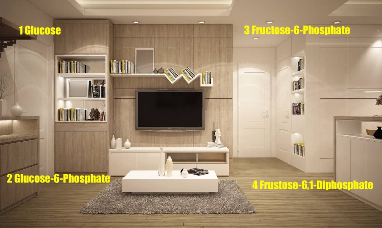 glycolysis intermediates mnemonic example