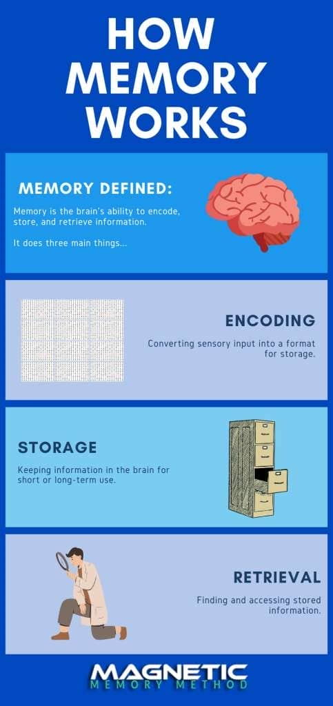How memory works infographic showing the three main processes, encoding, storage and retrieval