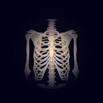 Medical Anatomy skeleton image related to memory techniques