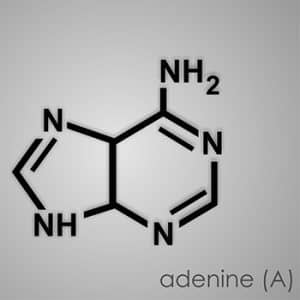 how to remember purines and pyrimidines feature image