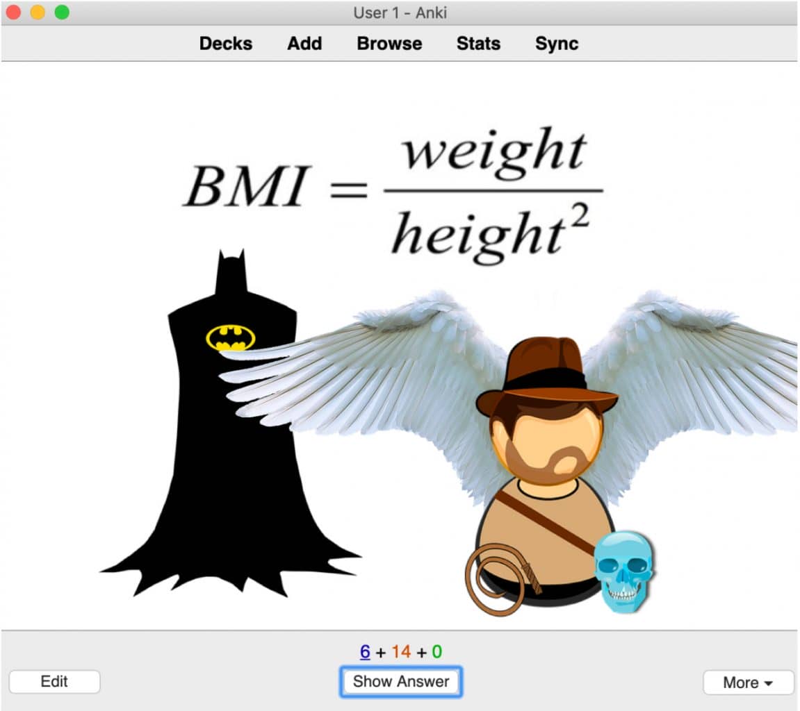 how to use anki for medical school example