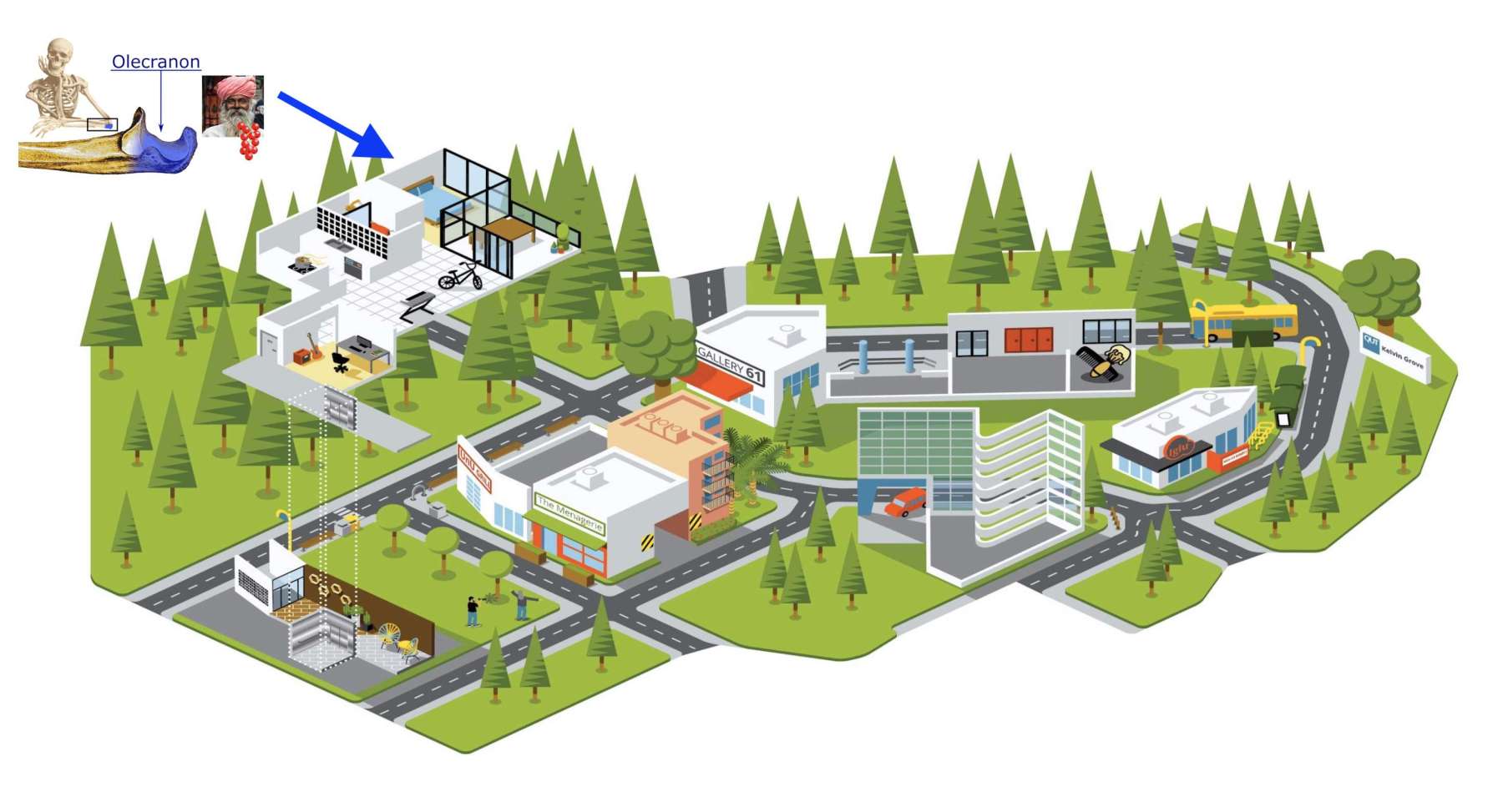 Memory Palace example for how to remember the parts of the ulna