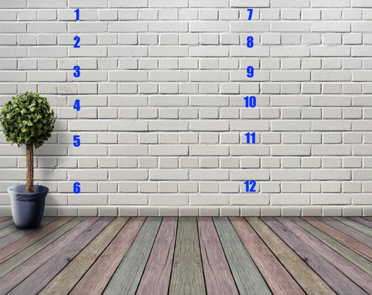 memory palace example for memorizing the cranial nerves