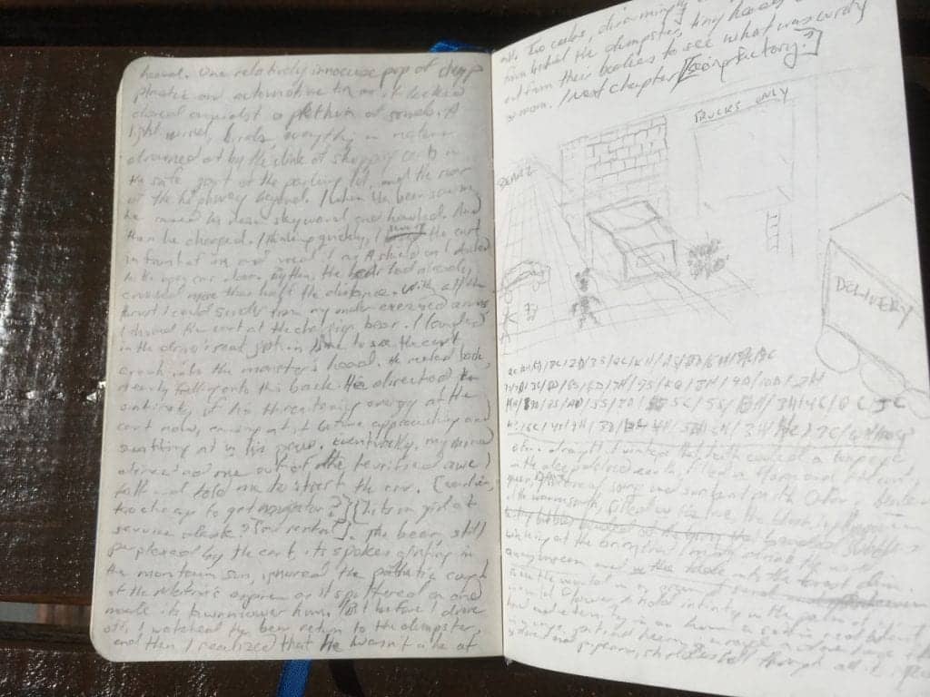 Anthony Metivier Note book