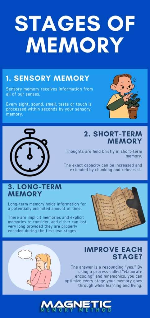 Stages of Memory infographic by Anthony Metivier