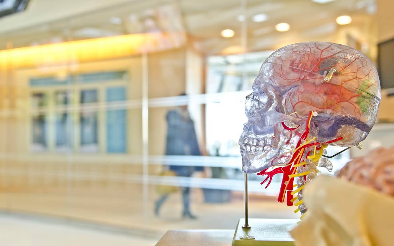 the science of memory