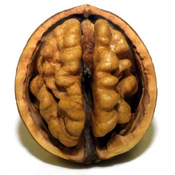 Crystal And Fluid Intelligence: 5 Ways to Keep Them Sharp