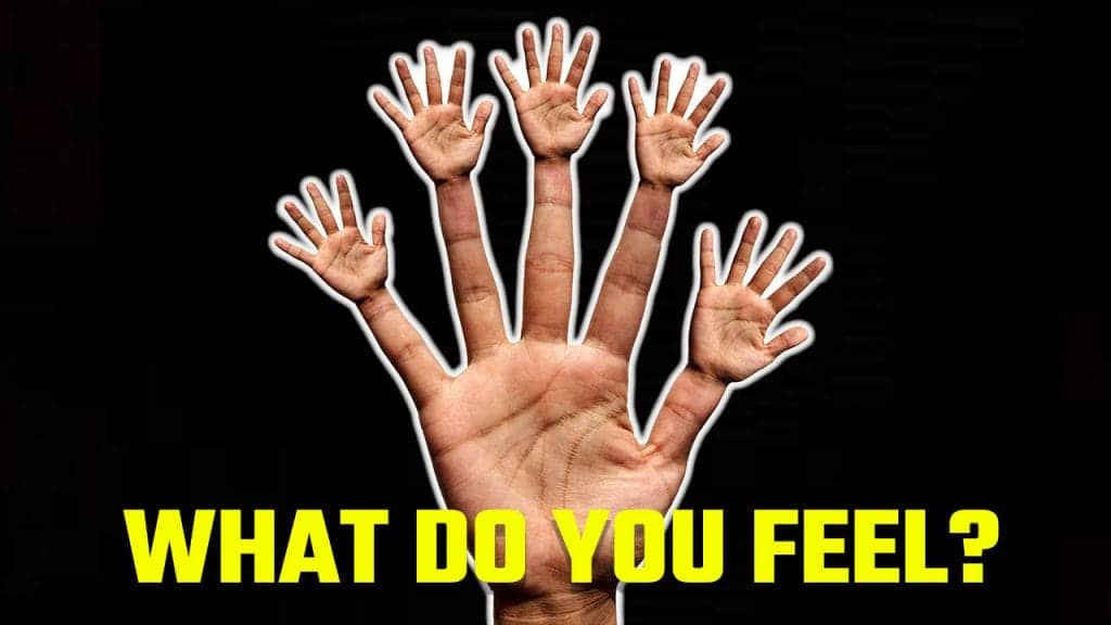 Illustration of a hand with hands on each finger to illustrate a kinesthetic sensory memory exercise