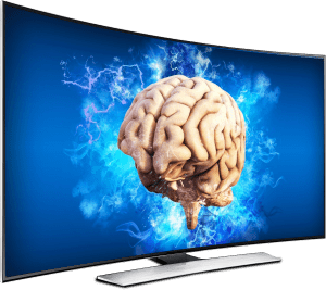 Brain Exercise Bootcamp